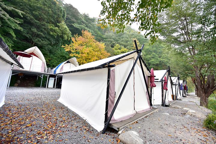 Sky Forest Glamping Park