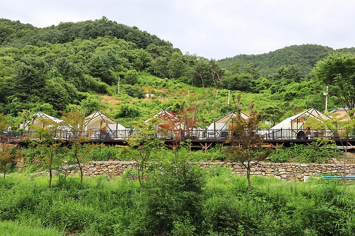 Tutu Glamping