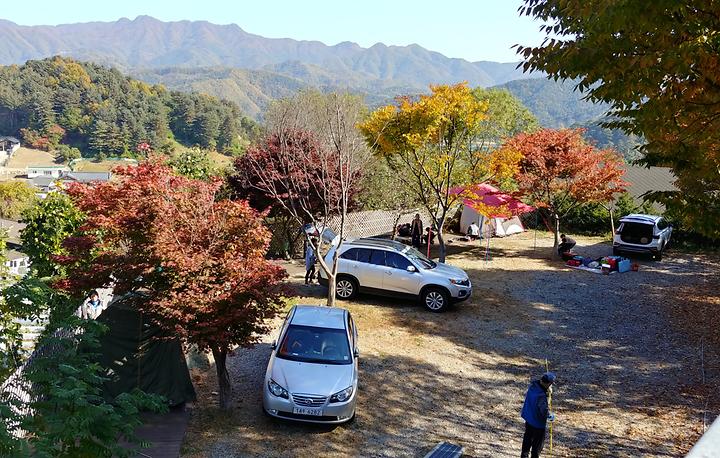 Gapyeong Apple Tree Campsite