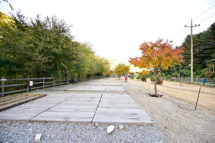 Gapyeong Mulgol Forest Valley Camping Site