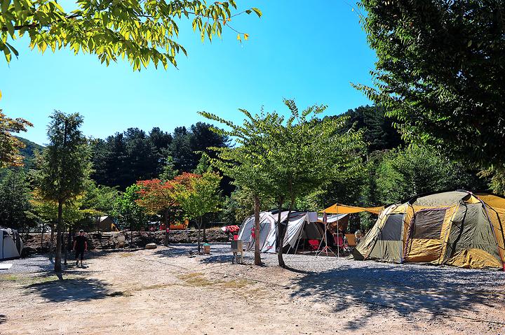 Swansan Auto Camping Ground