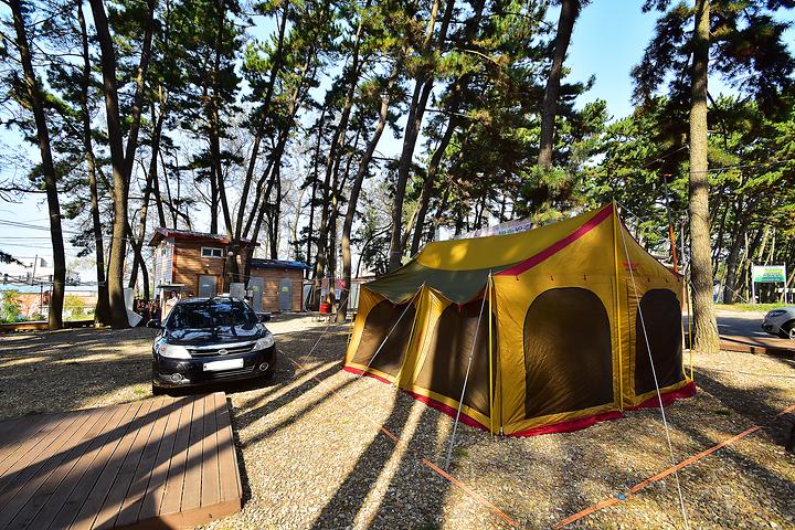 Chunjangdae Central Pine Forest Camping