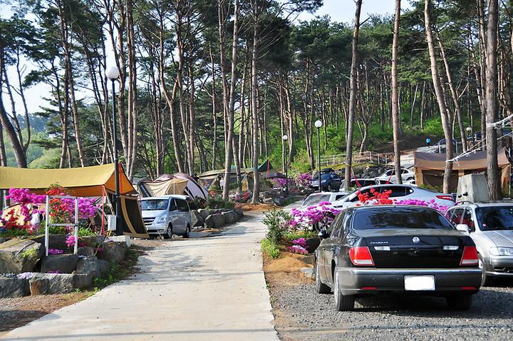 Muchangpo Solwon Campground