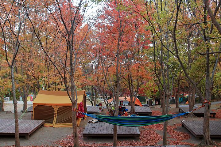 Hamheo Dongcheon Campground