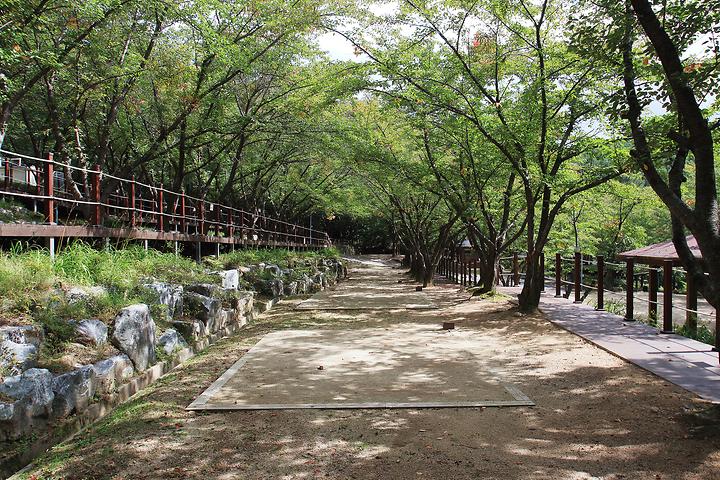 Gasan Mountain Fortress Campground