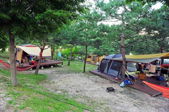 Pine Farm Campground