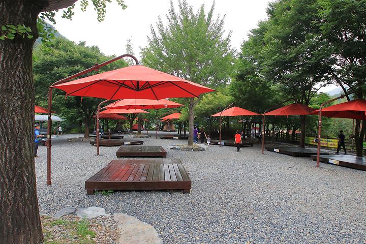 Jangryeong Mountain Campground