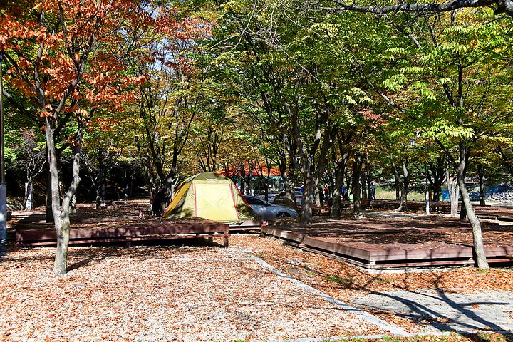 Master of Water Camping Ground