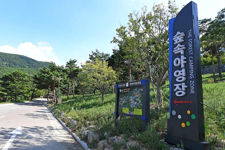 Traditional Korean Medicine Natural Recreation Forest