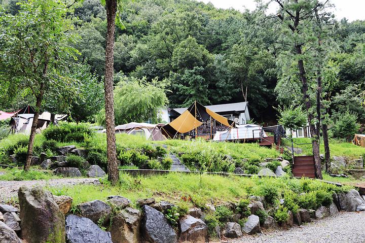 Yongin Natural Forest Campsite