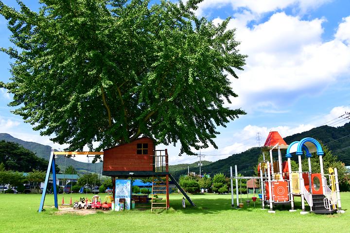 Old Schoolyard Camping Farm