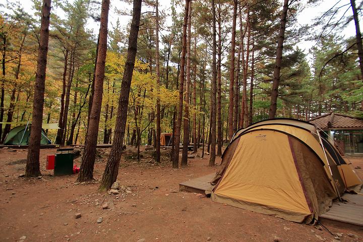 Mureung Valley Healing Campsite