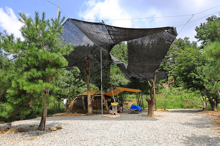 Mountain Spring Rest Area Camping Site