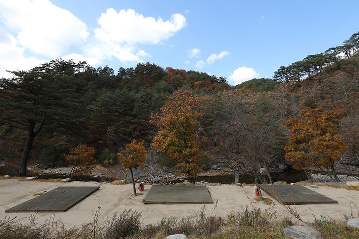 Starry Night Camping Ground