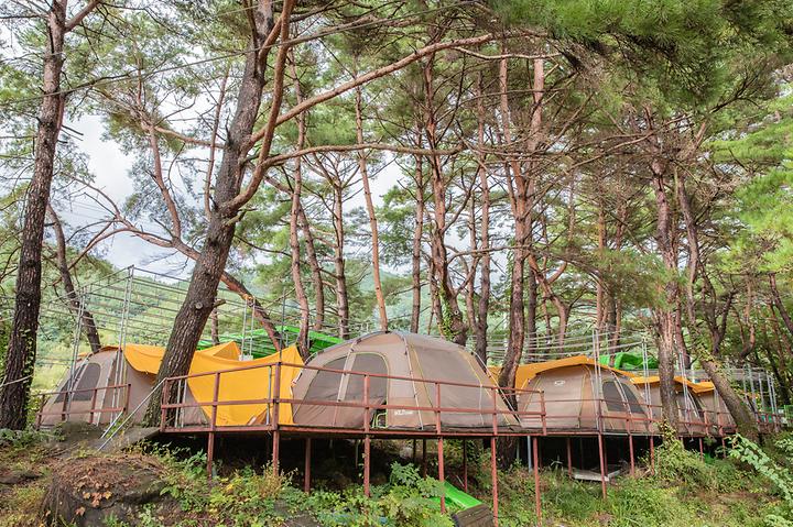 Pine Breeze Camping Site