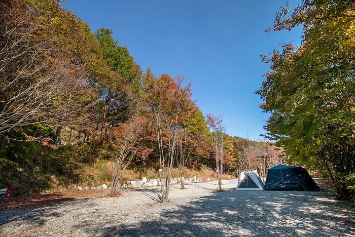 Deep Moonlight Campsite