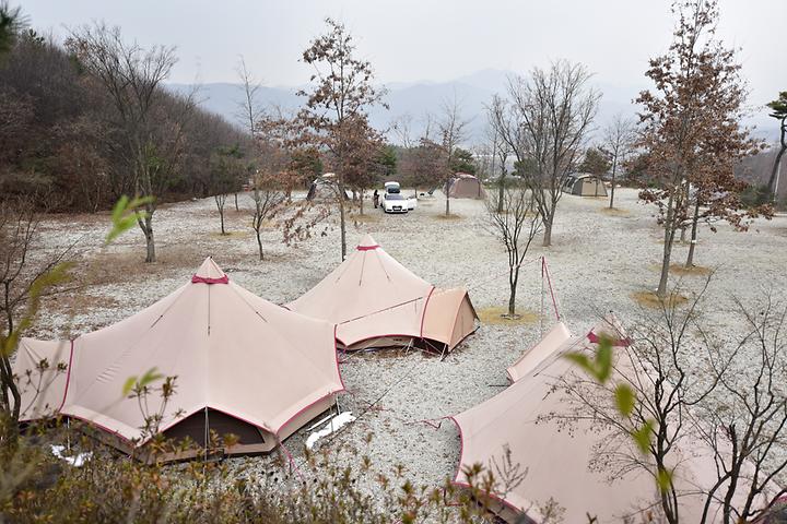 Yongin Maple Forest Campsite