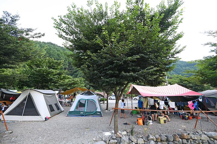 Circular Pathway Tourist Farm