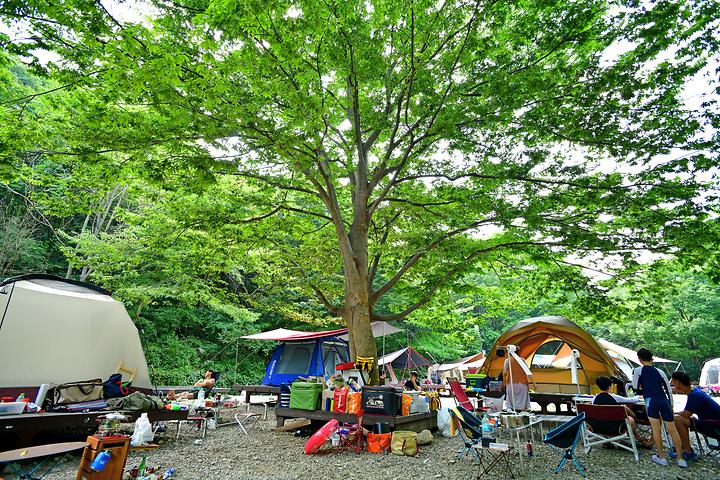 Unjangsan natural recreation forest campsite