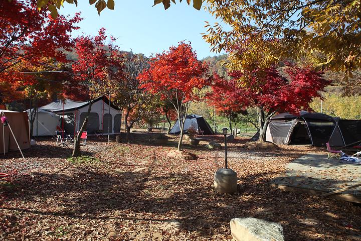 Stone Park Camping Grounds