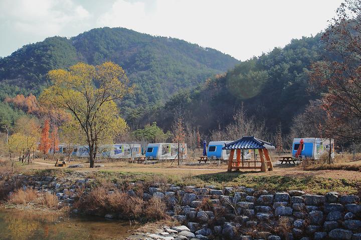 Youngjoo Lake Auto Camping Site