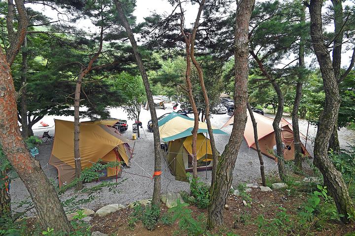 Dragon Creek Greenhouse Campsite