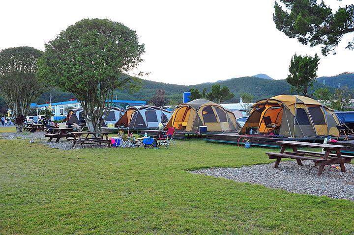 Goseong Grassland Campground