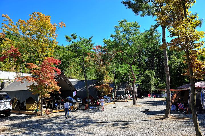 Gwangneung Forest Story Campground