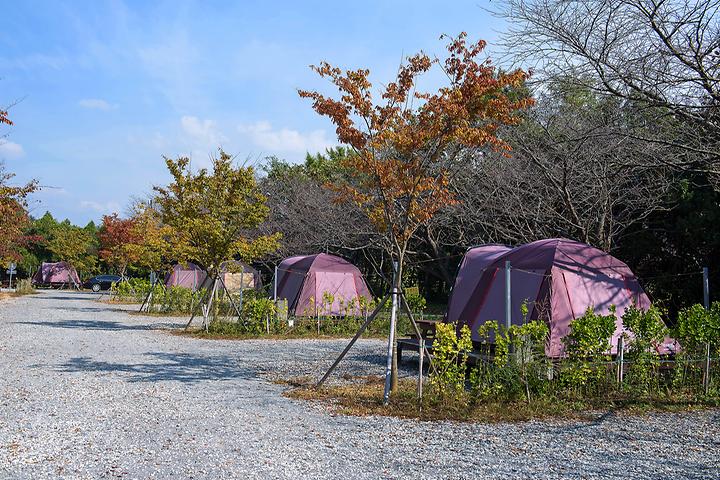 Hampyeong Butterfly Village Seoul Campsite