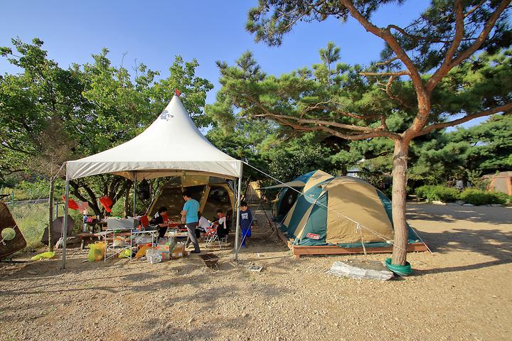 Seasol-Gil Campsite