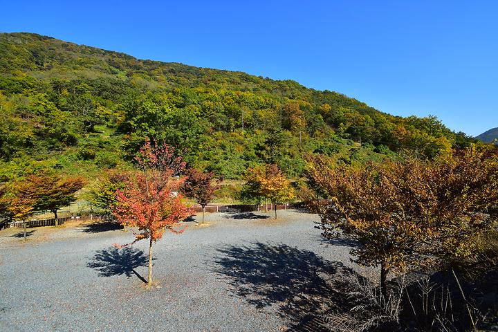 Cheongdo Green Narae Auto Camping Site