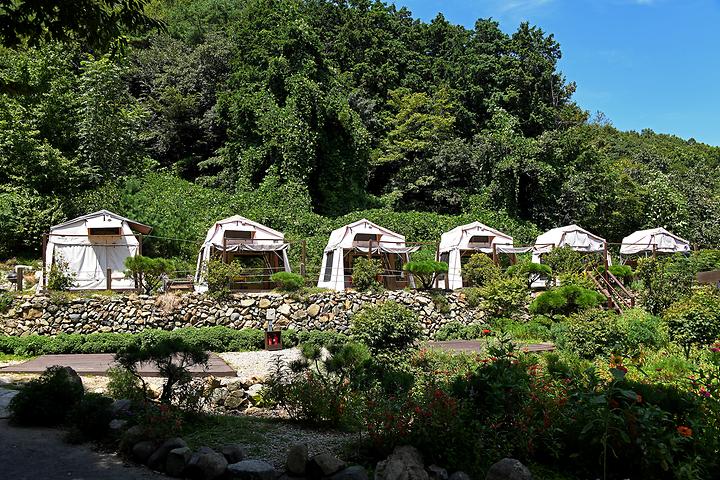 Stone Wall Camping Site