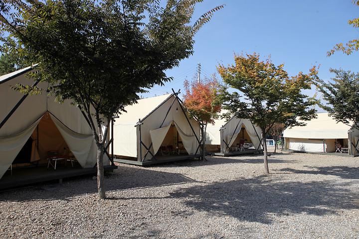 Sky Lotus Camping Site