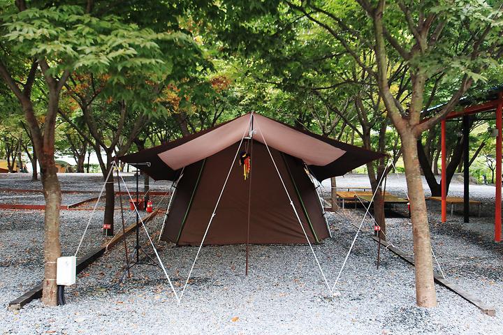 Under the Clouds Camping Ground