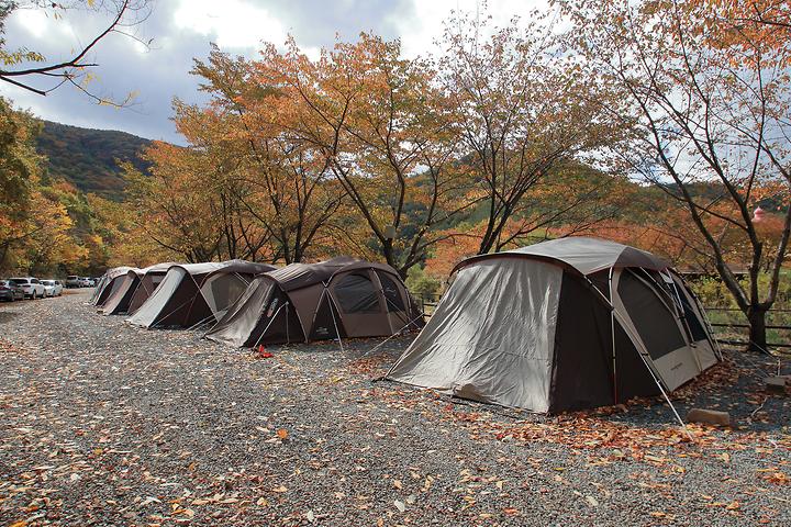 Greenhouse Camping Site