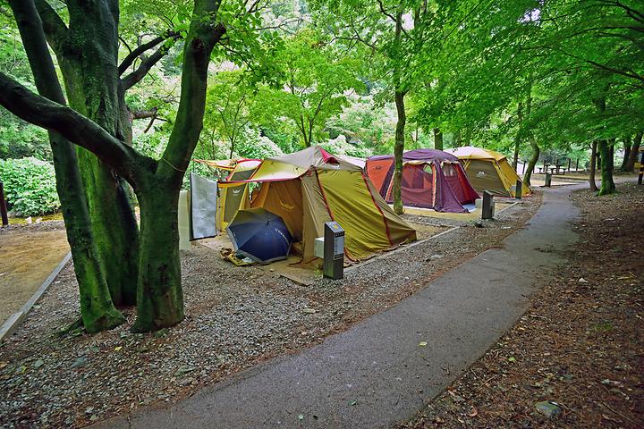 Naechon Camping Site