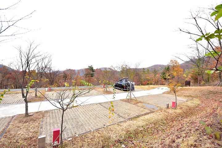 Youmyong Mountain Camping Site