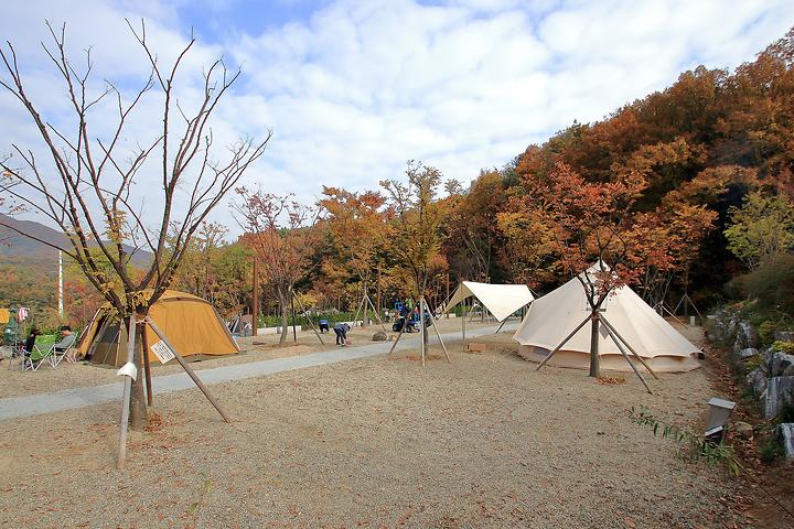 Chomakgol Ecological Park Zelkova Tree Campsite