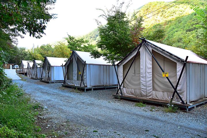 Glamping Love (White Forest) Camping Site