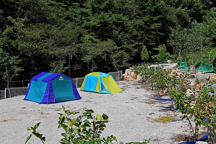 Jinbuk Cypress Valley Tourist Farm Campground