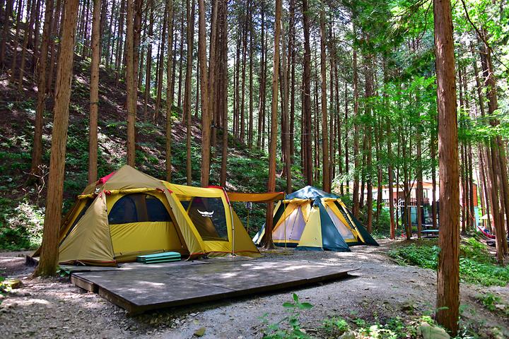 Hinoki Hill Campsite