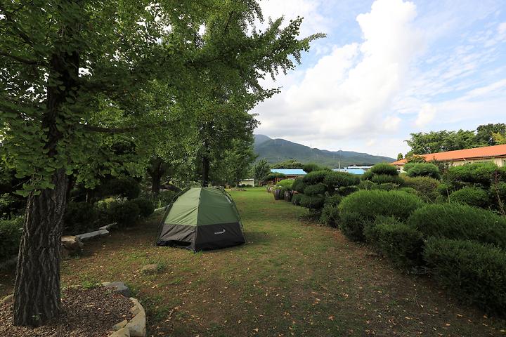 Persimmon Village Campsite