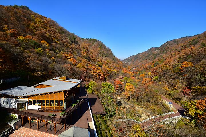 Geumsan Forest Culture Town