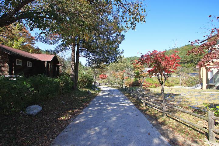 Gusugok Natural Recreation Forest