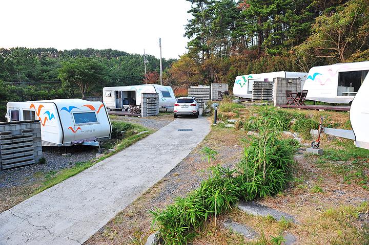 Tropical Dream Camping Site