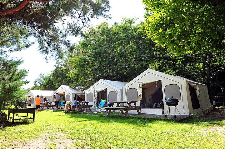 Pocheon Bears Glamping Park