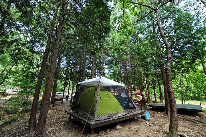 National Namhae Cypress Forest Retreat