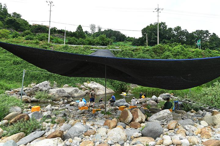 Baekmu-dong Park Pension & Glamping Campsite