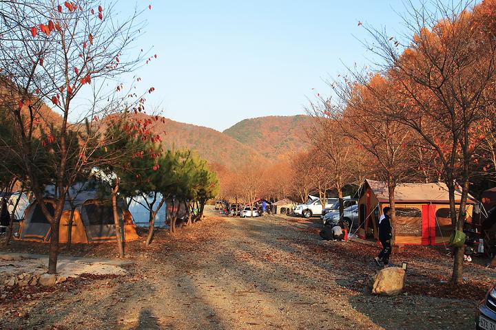 Gondalbi Camp