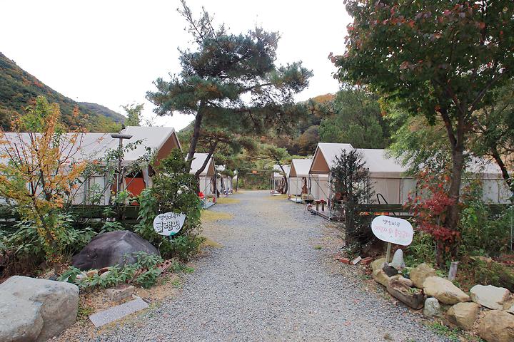 Starlight Hill Glamping Campsite